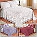 Collections Etc Elegant Victoria Plush Chenille Bedspread with Fringe Border and Ring Design, Burgundy, Queen
