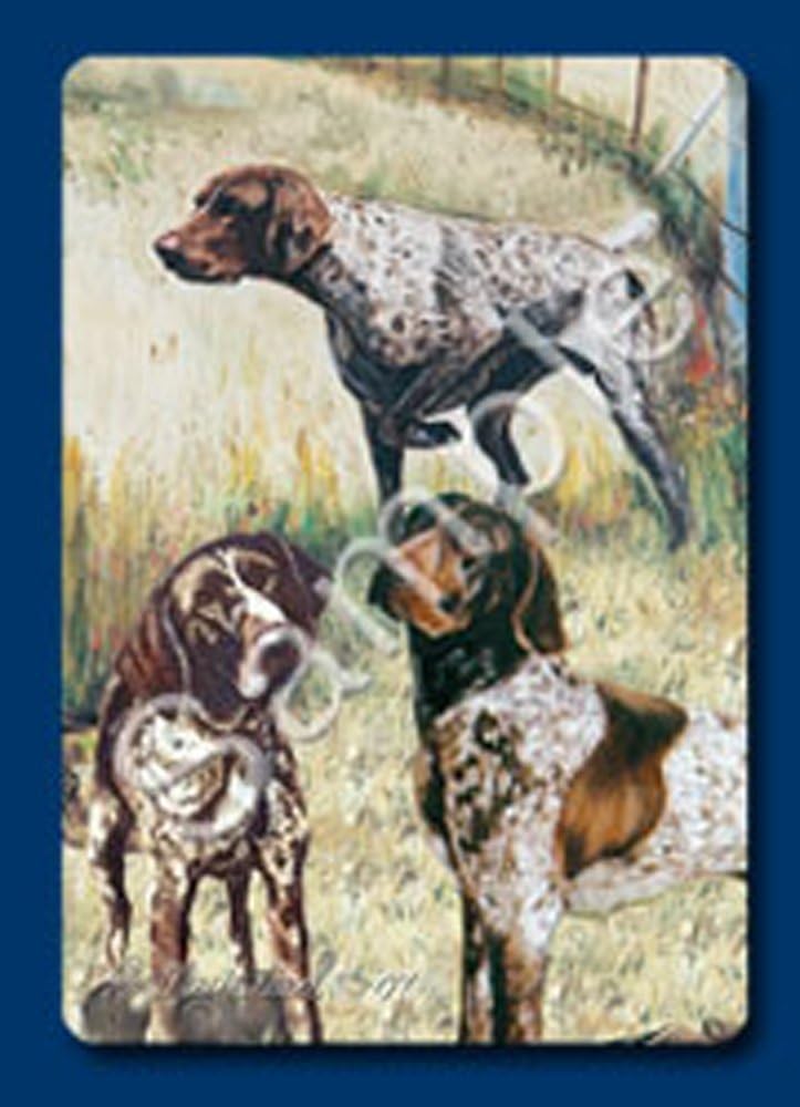 famous german shorthaired pointer
