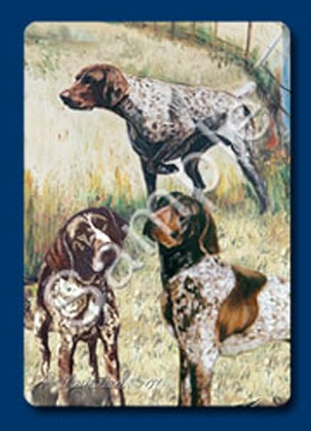 best toys for german shorthaired pointers