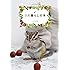 リス暮らしの本: 育て方から食事、上手な付き合い方まで