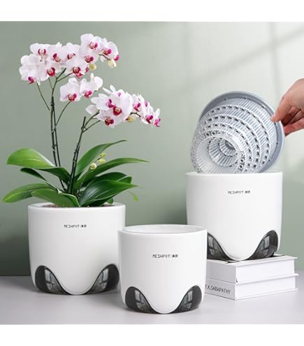 Vasos Para Orquídea Blumiger - Pack 8 Unidades Transparentes Com Pires