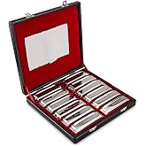 SWAN Harmonica Set 12 Keys 10 Hole 20 Tones Harmonica Blues Mini Harmonica for Adult, Professional Player,Beginner,Students with Case Bag (Silver 12 key A B C D E F G Ab Bb Db Eb Gb)