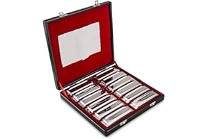 SWAN Harmonica Set 12 Keys 10 Hole 20 Tones Harmonica Blues Mini Harmonica for Adult, Professional Player,Beginner,Students w