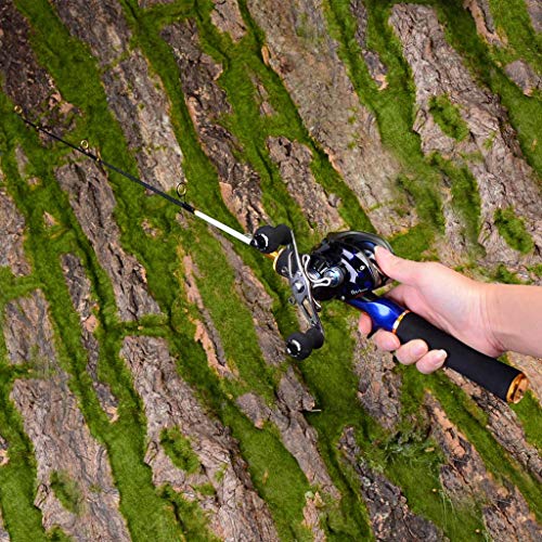Spinning Lure Rod Carbon Fiber Fishing Rod Travel Sea Saltwater Pole (B)