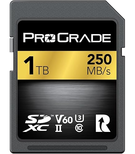 Amazon.com: ProGrade Digital Memory Card - CFexpress 4.0