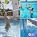RAPICCA Volleyball Net for Indoor or Outdoor Sports Backyard Schoolyard Pool Beach Volleyball Replacement Net for Tournament or Championships (32 FT x 3 FT) Poles Not Included