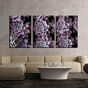 3 Piece Canvas Wall Art - Closeup of Purple Succulent - Modern Home Art Stretched and Framed Ready to Hang - 16"x24"x3 Panels