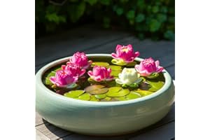 CZ GRAIN Bonsai Bowl Lily Pad Plant, Not Seeds, Healthy Rootstock of Water Lily Pad (1 Plant)