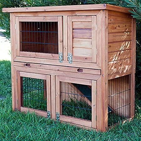 cleaning rabbit hutch