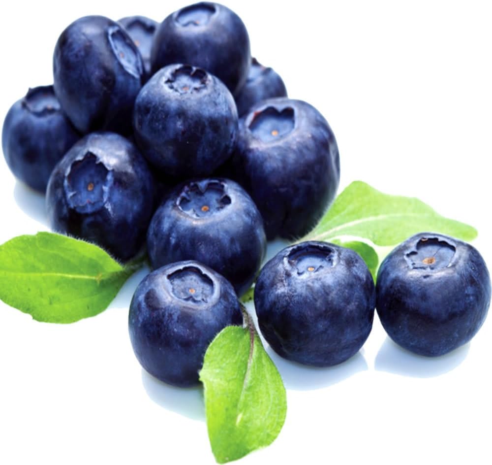 Juicy Blueberries Soap Making Fragrance Oil, Bath Body Products, Lotions Creams 50ml/1.7oz Vegan & Cruelty Free
