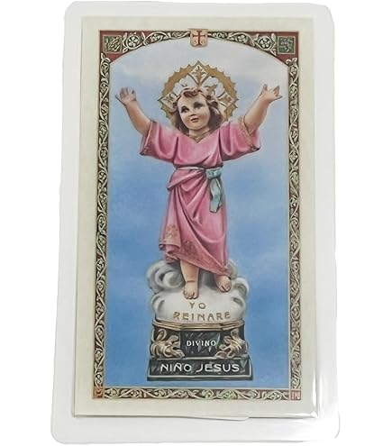 Amazon.com : St. Francis Imports Holy Prayer Cards for a Plea to