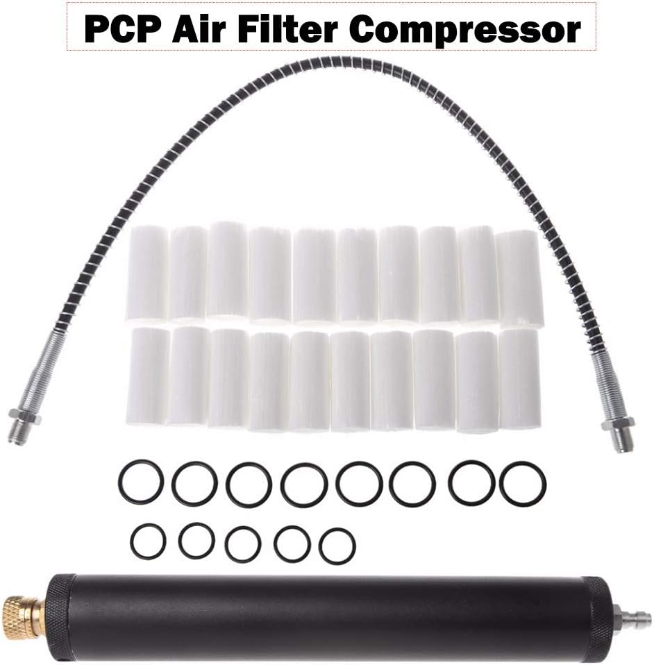 30Mpa Oil Water Separator Filter for High Pressure Air Compressors PCP Air Pump, Black
