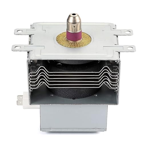 Generic - Tubo magnético para microondas WB27X10516 OM75P(31 ...