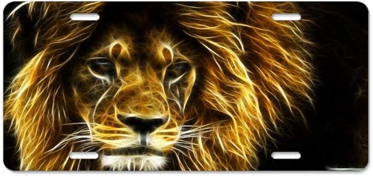 Amazon Com Kingsinoutdoor Wild Nature Cat Pasha Lion Animal Cool