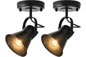 KEESFU Industrial Mini Track Lighting Ceiling Light, Black Spot Lights Indoor with Multi-Directional Adjustable Light Head, Ceiling Mount Spotlight for Bedroom Living Room Hallway Kitchen(2 Pack)