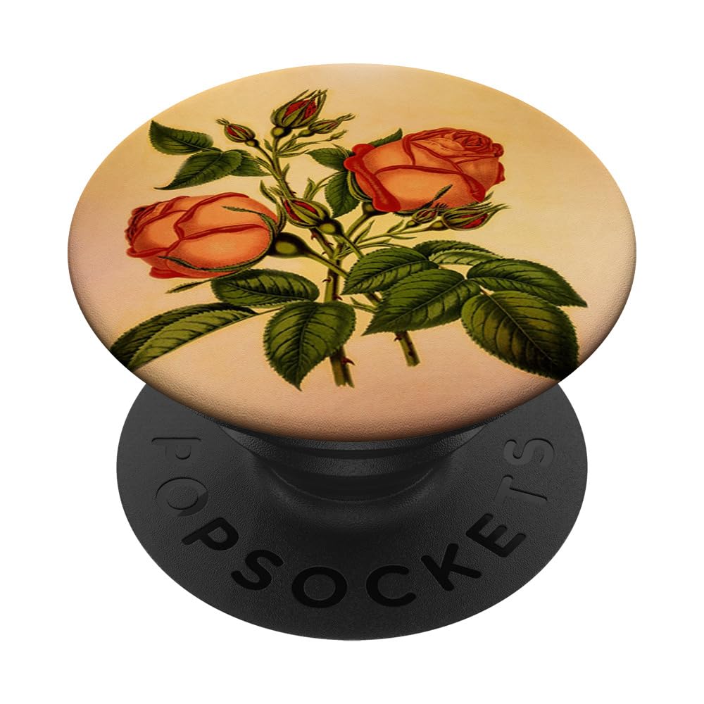 Rose Vintage Bohemian Boho Floral Flower Shabby PopSockets Swappable PopGrip