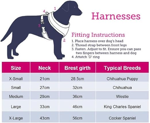 doodlebone dog collars