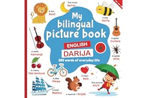 My bilingual picture book, 250 words of everyday life: learning Darija for children, words translated from English to Morocca
