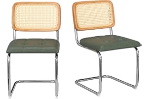 Farini Kitchen Dining Chairs Set of 2,Mid-Century Modern Chair Armless Mesh Backrest Cane Rattan Chairs for Home Dining Room(Blackish Green,PU Leather)