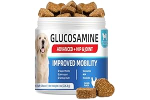 Dog Joint Supplement with Glucosamine & Chondroitin - Hip & Mobility Support Chews for All Ages & Sizes - with Turmeric, MSM 
