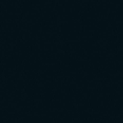 GARDINIA Flächenvorhang (1 Stück), Schiebegardine, Blickdicht, Flächenvorhang Stoff Uni, Schwarz, 60 x 245 cm (BxH)