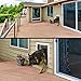 PlexiDor White Dog Door for Wall Mounting - Energy Efficient Weatherproof Performance Pet Door with Lock and Security Panel for Dogs & Extreme Dog Fence Grooming Glove Bundle