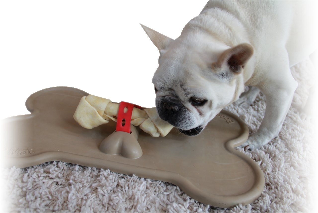 Bone Mat Dog Bone Holder Buy Online in UAE. Pet Supplies Products