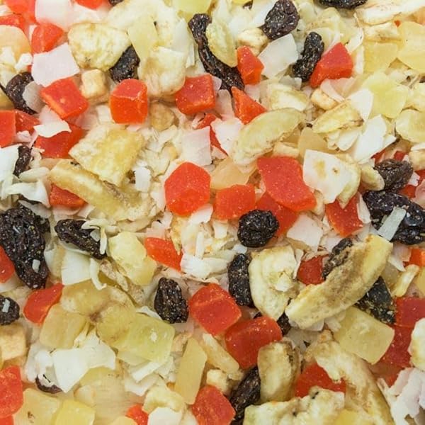 HIGGINS SUNBURST TRUE FRUITS GOURMET TREATS FOR CONURES, PARROTS & MACAWS, 5 OZ