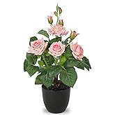 Hollyone Artificial Plants & Flowers in Vase Pink Roses Artificial Flowers Potted Plant Faux Silk Flower with Pot Fake Rose Flower Arrangement Home Decor Office Bathroom Shelf Desk Decoration 15 Inch