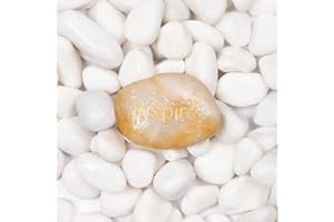 Ausluru 5lbs Natural River Rocks Polished Pebbles for Plants Garden Decorative Stones, Ideal for Fish Tank, Vases, Succulents, Crafting, Home Decor and Garden Landscaping, Large White