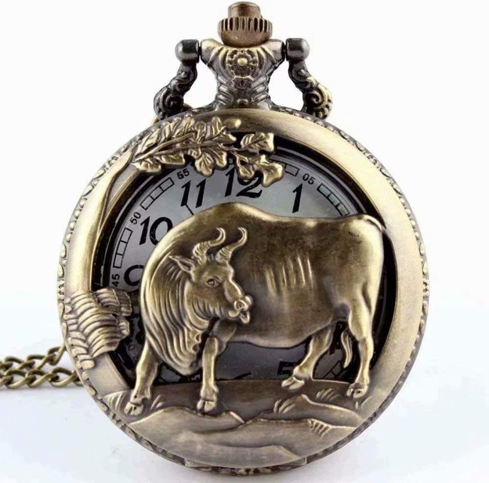 SUNXIN Necklace Pocket Watch - Vintage Steampunk Necklace Quartz Pendant Pocket Watch Gift