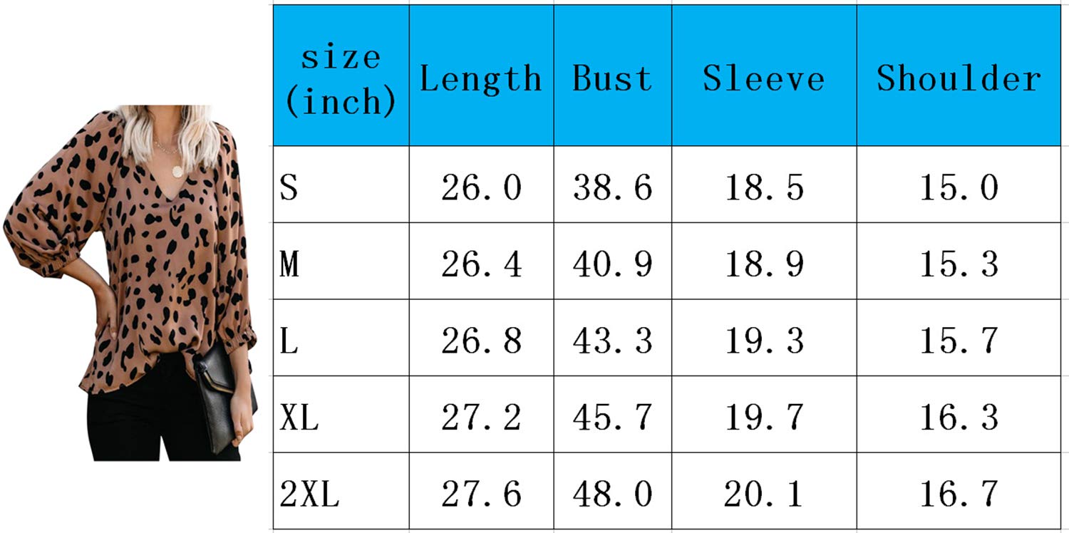 BABEIYXM Womens Casual Printed Loose Shirt Balloon Sleeve V-Neck Blouse and Tops L