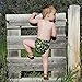 Hybrid Cloth Diaper - Reusable Training Pants, Swim Diaper, Special Needs Briefs, Fits from Baby up to 10 Years (Size 2, Transportation)