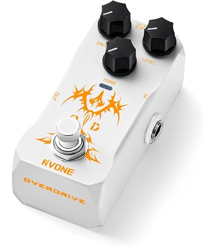 Amazon.com: Carl Martin EchoTone Guitar Delay Effects Pedal