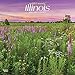 Illinois Wild & Scenic 2020 12 x 12 Inch Monthly Square Wall Calendar, USA United States of America Midwest State Nature by