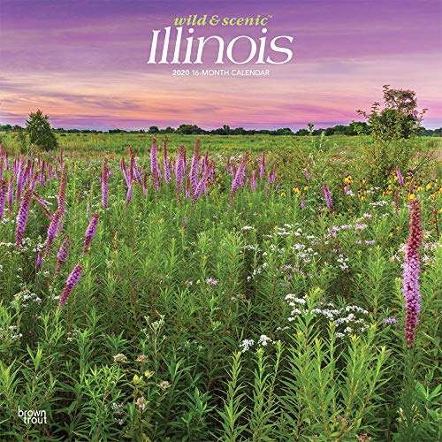 Illinois Wild & Scenic 2020 12 x 12 Inch Monthly Square Wall Calendar, USA United States of America Midwest State Nature by BrownTrout Publishers Inc.