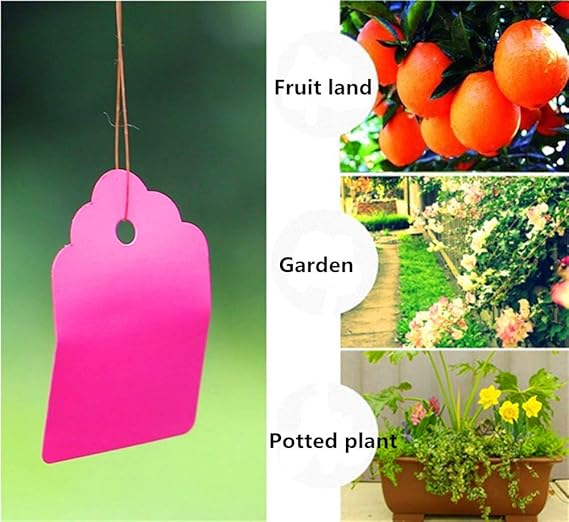 Etiquetas para Colgar Plantas Yu2d de 3,6 x 2,5 cm, 100 Unidades ...