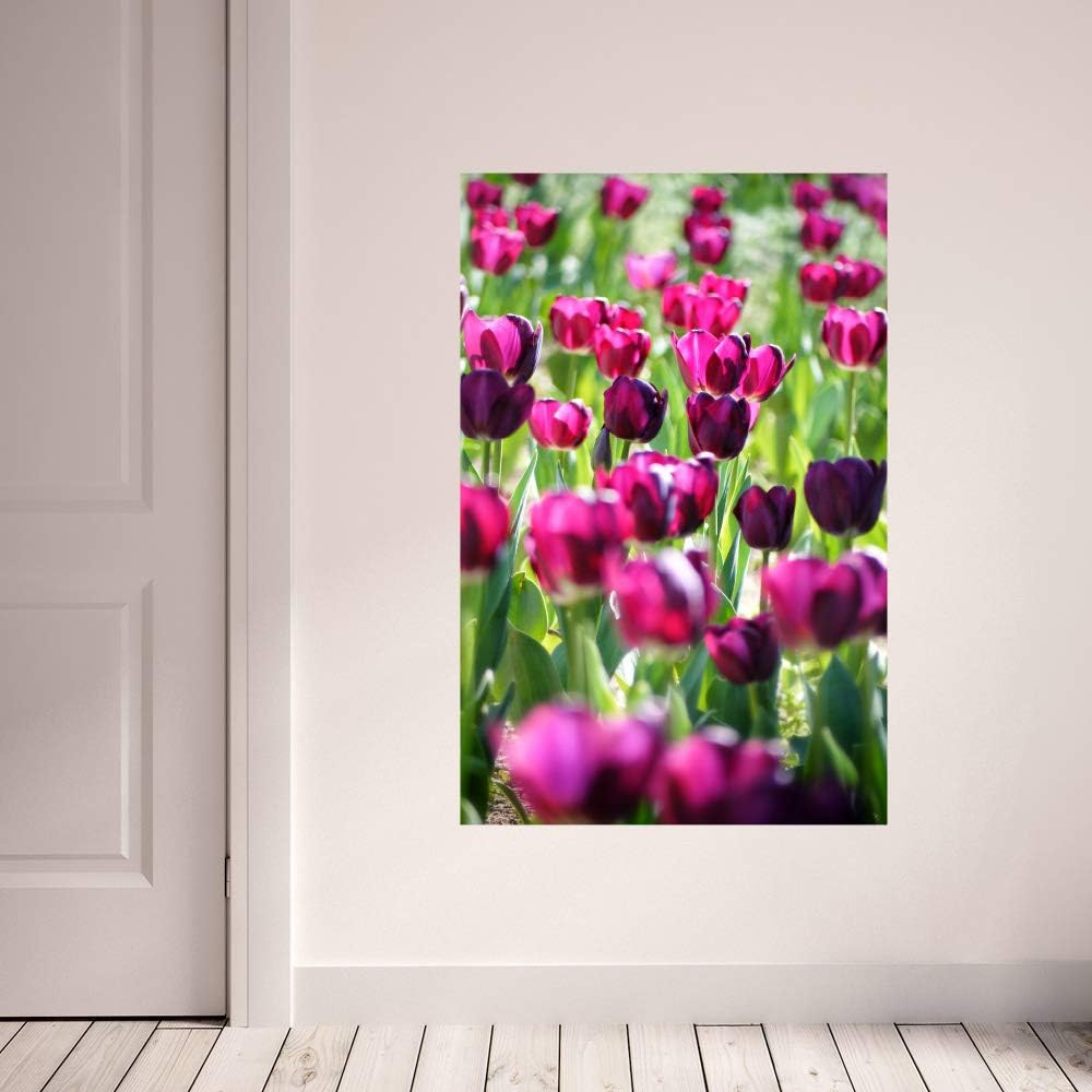 Amazon ウォールステッカー Mu3アクセント壁紙 チューリップ W600 H9mm 花 フラワー 植物 写真 壁画 写真 ポスター 絵画 シール ウォールステッカー オンライン通販