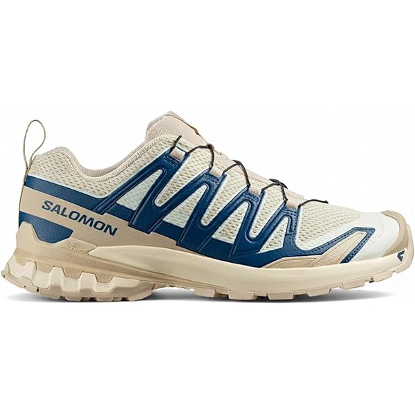 Tenis Salomon XA PRO 3D V9 Masculino (Creme, BR, Adulto, Numérico