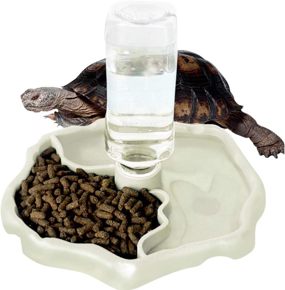 automatic tortoise feeder