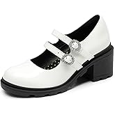 DREAM PAIRS Mary Jane Shoes for Girls Platform School Uniform Party Chunky Dress Heel Double Straps Flats for Little Big Kid