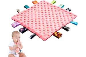 ANJEEIOT Baby Tags Security Blankets - Baby Soothing Plush Blanket with Colorful Tags, 10"x10" Square Sensory Toys, Lovey for 3 Months+ Babies Boys and Girls (Pink)