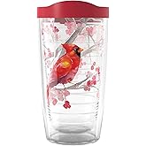 Tervis Christmas Holiday Cardinal and Berry Branches Made in USA Double Walled Insulated Tumbler Travel Cup Keeps Drinks Cold & Hot, 16oz, Classic