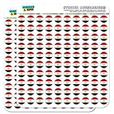 Egypt National Country Flag 1/2