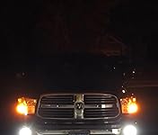 Review Image by VP VP