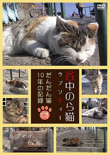 Amazon 谷中のら猫ラプソディー だんだん猫10年の記録 Dvd 映画