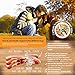 Earth Pets Nutrition, All Natural and Organic Hip and Joint Supplement and Dog Vitamin, Glucosamine, Chondroitin, MSM, Yucca and Organic Turmeric for Dogs, 130 Soft Chew Treats