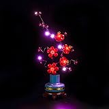 BrickBling Light Compatible with Lego Icons Plum