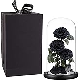 Preserved Roses Handmade Preserved Flowers in Glass Dome, Black Roses Never Withered, Birthday Gifts for Her (13 inch)