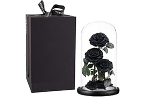 PERFECTIONE ROSES Preserved Roses Handmade Preserved Real Rose in Glass Dome, Black Roses Never Withered Gifts for Her, Valentine's Day, Mother's Day, Birthday, Christmas, Anniversary(13 inch)
